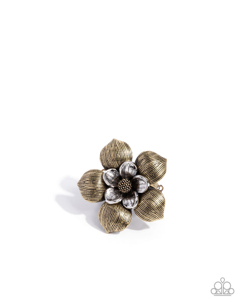 Linear Limit Brass Ring